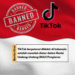 TikTok Diblokir 3 Hari di Indonesia, Ada Apa?