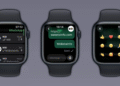 WhatsApp di Apple Watch! Bisa Balas Chat?