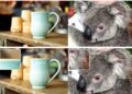 Teknologi Baru Apple, Cukup Satu Foto 2D, Hasilkan Adegan 3D dalam Kurang dari Sedetik