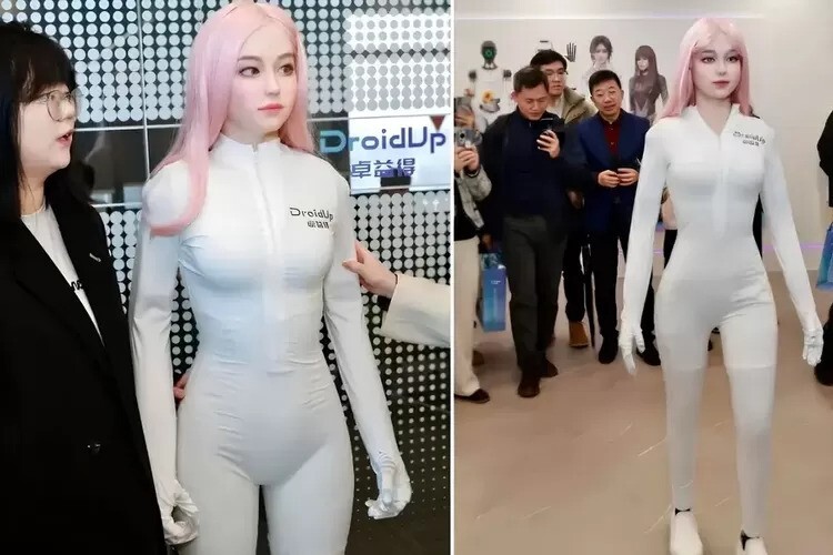 Robot Moya