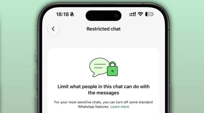 Mengenal Fitur Restricted Chat WhatsApp Beta dan Cara Kerja Proteksinya